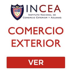 cursos incea online