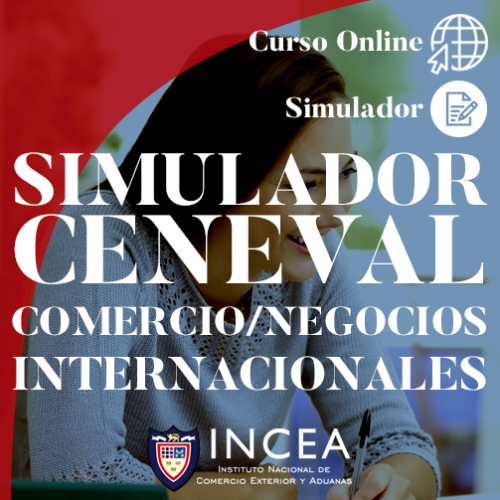 Una mujer utiliza el Simulador Ceneval de Comercio Internacional para escribir en un simulador de negocios en línea.