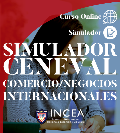 Una mujer utiliza el Simulador Ceneval de Comercio Internacional para escribir en un simulador de negocios en línea.