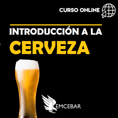 Una imagen de una copa de Introducción a la Cerveza con las palabras 'curso de cerveza'.