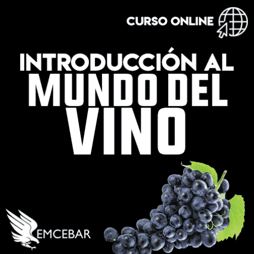 Una imagen de Introducción al Mundo del Vino con las palabras curso de vinos.