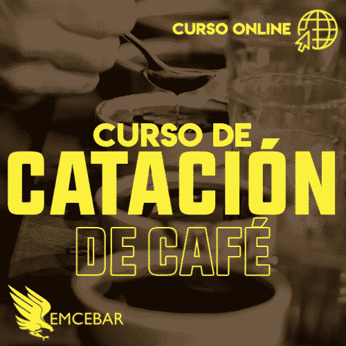 Curso de Catación de Café.