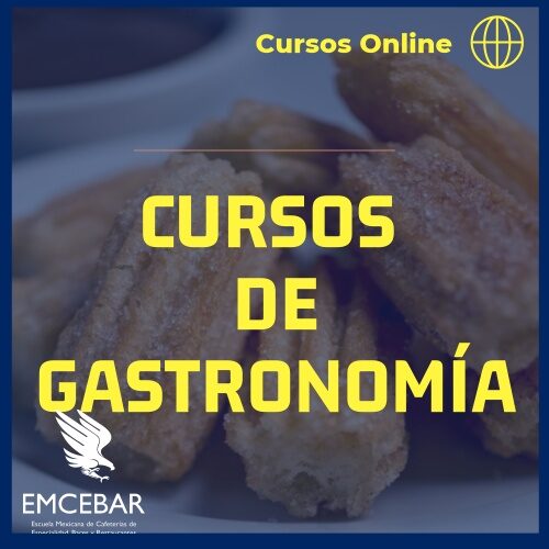 Cursos Gastronomía Online