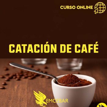 curso catacion de cafe