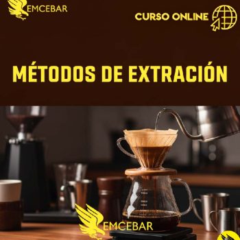 curso de metodos de extraccion de cafe
