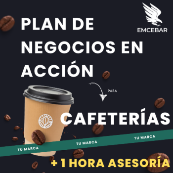 taller de plan de negocios y 1 hora de asesoría