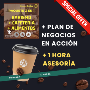 taller plan negocios y asesoria