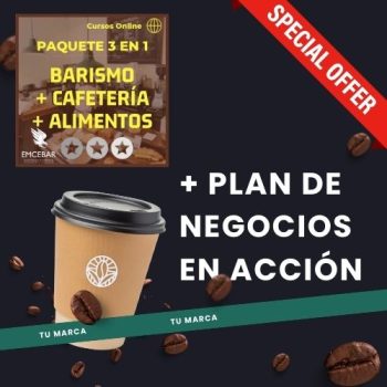 taller plan negocios